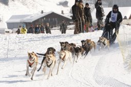 Lenk 2012 SM